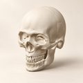 Skull Ornament — AI-generated product visualization; illustrative colour and finish